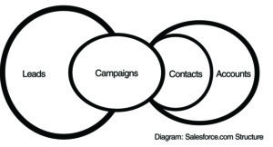 Salesforce Leads vs. Campaigns vs. Contacts vs. Accounts